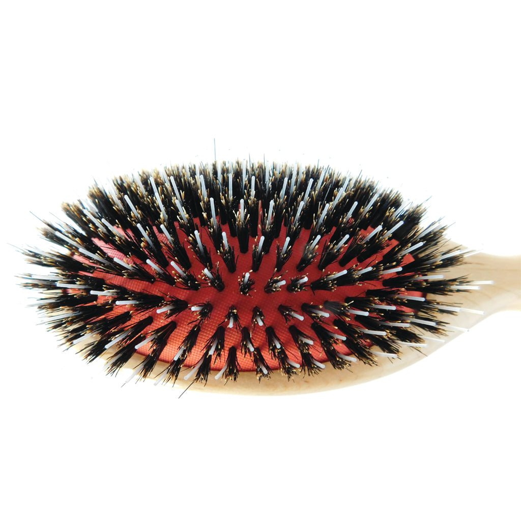Sheila Stotts Mixed Natural Boar & Nylon Bristle Brush Bundle
